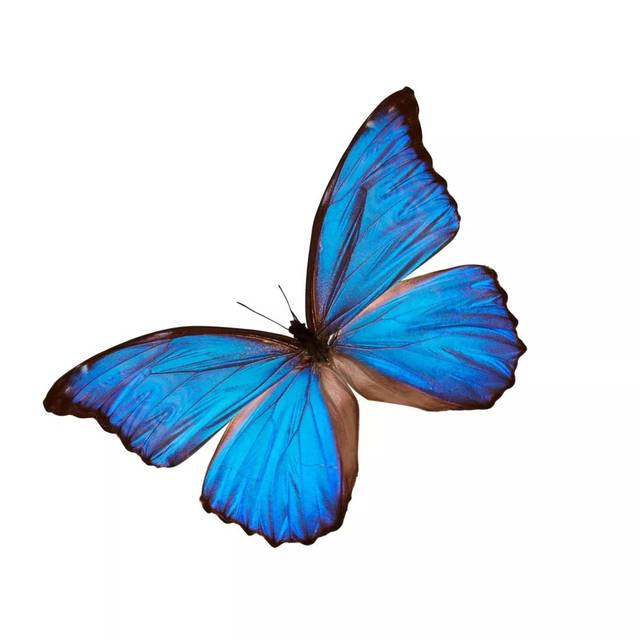 情迷巴塞罗那 | 共赴日落时分的心动约会