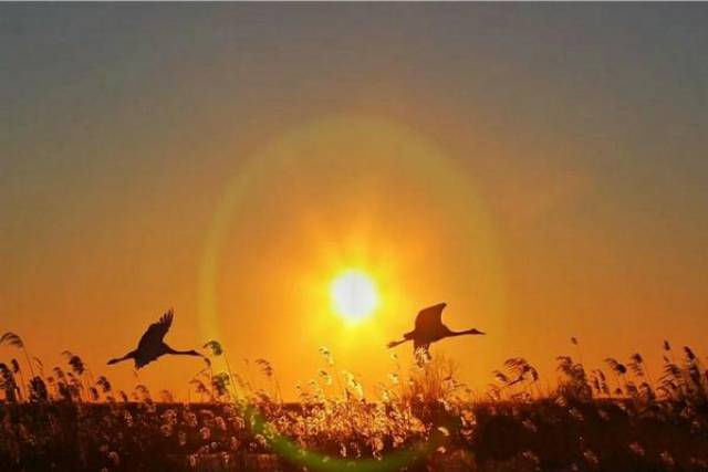 人的一生会遇到多少人? 谁又能陪你到最后?