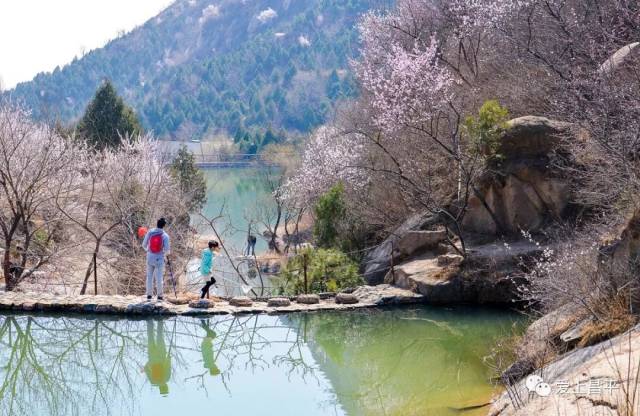 位於昌平區陽坊鎮的北京後花園景區