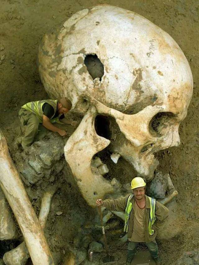 始祖巨人为什么是骨架图片
