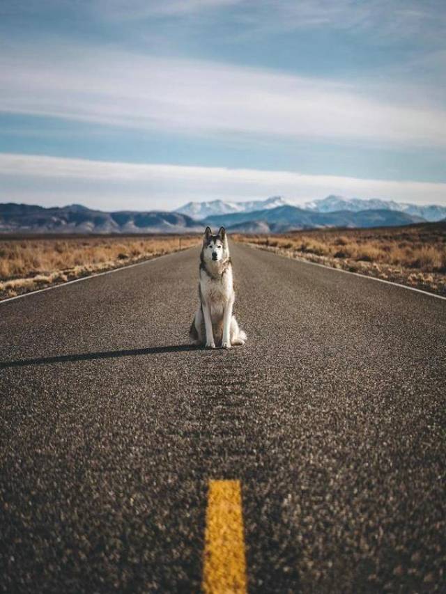人的一生会遇到多少人? 谁又能陪你到最后?