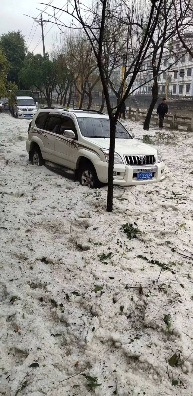 云南刚受霜冻灾害,又遭特大冰雹,再次提醒果农极端天气灾害警钟要长鸣