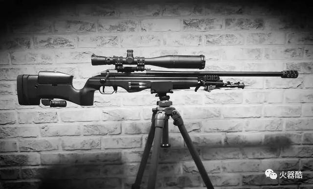 trg42狙击步枪图片