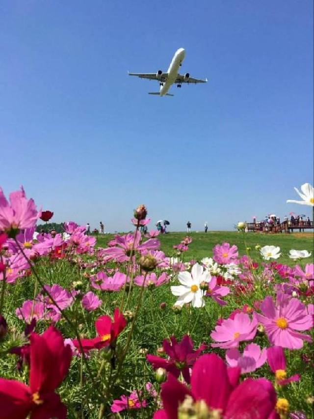 空港花园成都图片