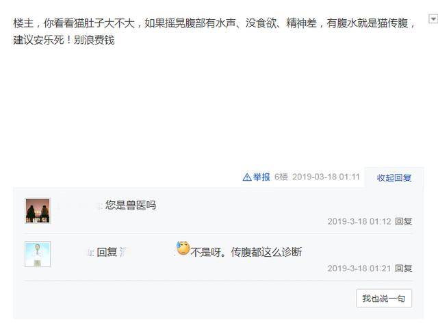 猫腹水不等于u201c猫传腹u201d，一篇文章告诉你猫腹水到底是什么_猫腹水检查 