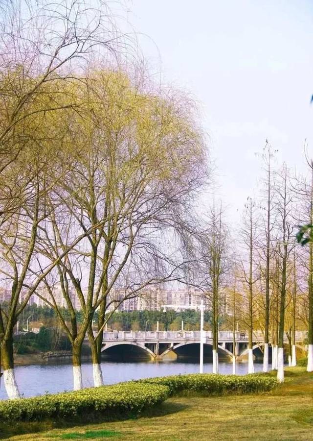 府谷天气预今日情况 府谷天气预今日情况