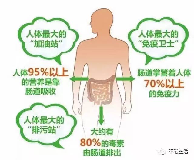 尿酸高怎么调理？正确方法让身体轻松应对