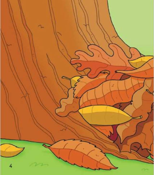 tortoise! 陆龟快醒醒!