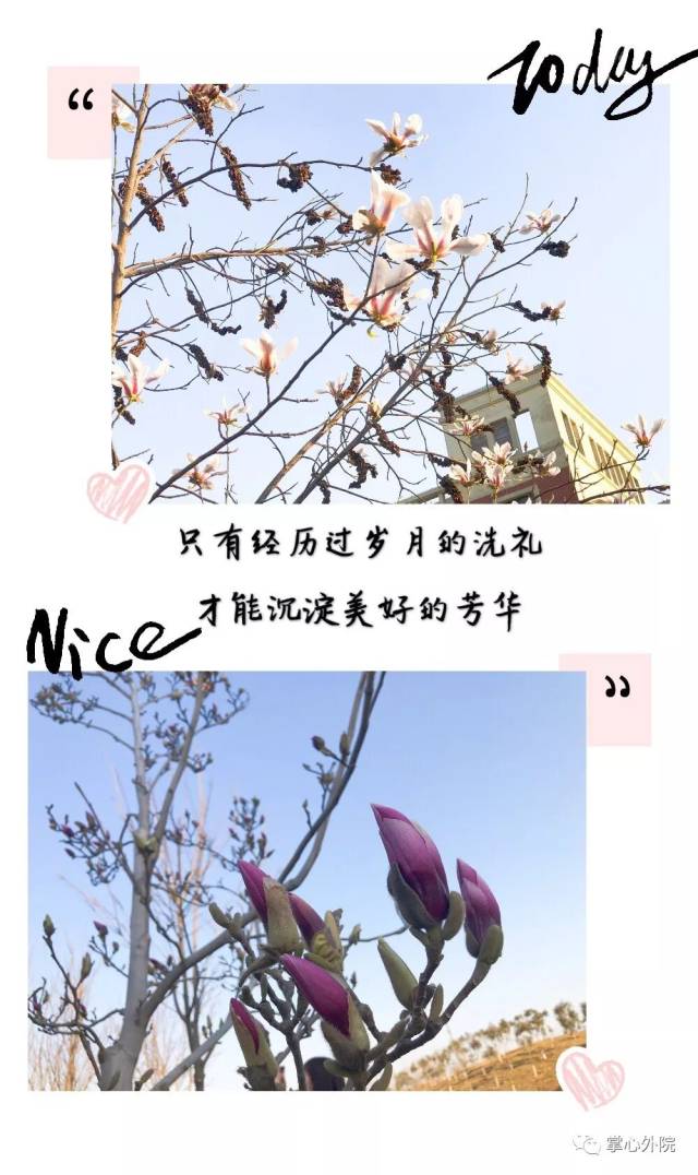 我想拍一部电影,以你的名字,时长一生