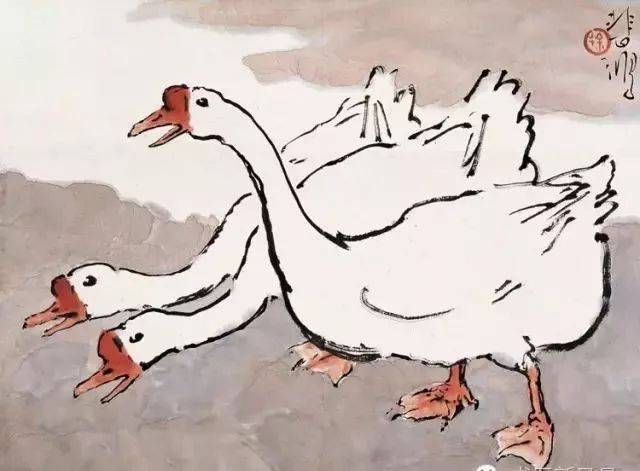 一群红顶鹅正在池塘内悠闲嬉戏,勾勒出"白毛浮绿水,红掌拨清波"的意境