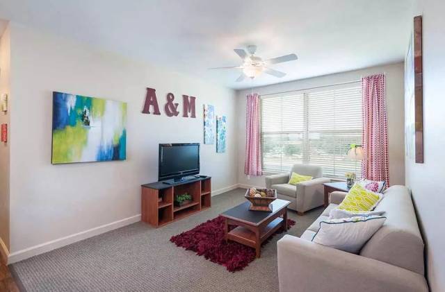 德州农工大学:虽然名字很土味,但我真的很优秀