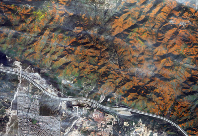 卫星拍摄美加州金黄色罂粟花怒放成海