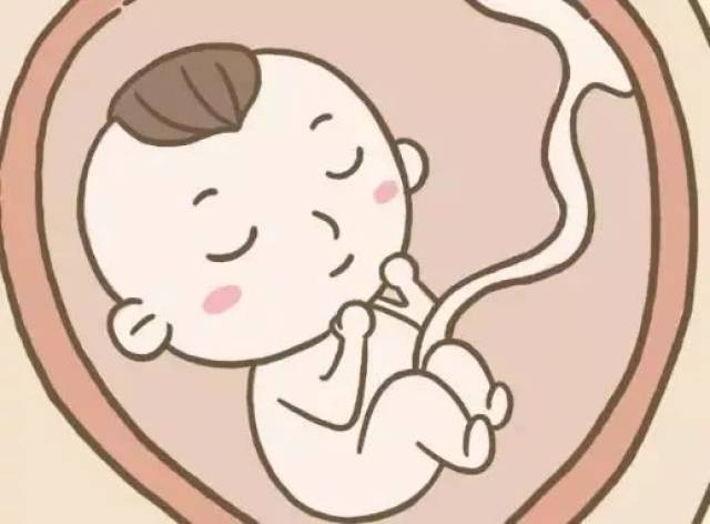 这些时候胎儿在睡觉孕妇要尽量安静