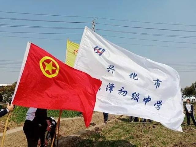 动态|戴泽初中开展植树护绿活动