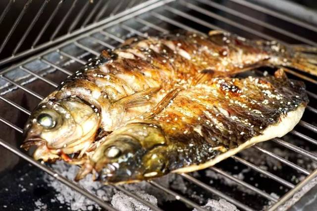 这条鱼可谓是大有来头 捕捉来自龙湖水库(小坑水库)的 纯水库野生皖鱼