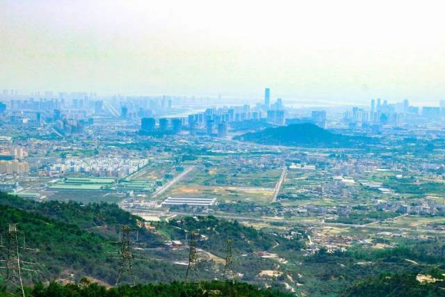 半日厦门游,竟发现了灌口不为人知的一面,藏着