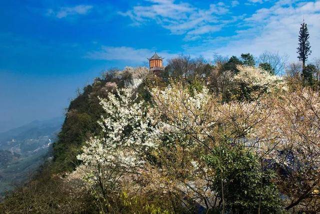 渝北区云龟山风景区图片