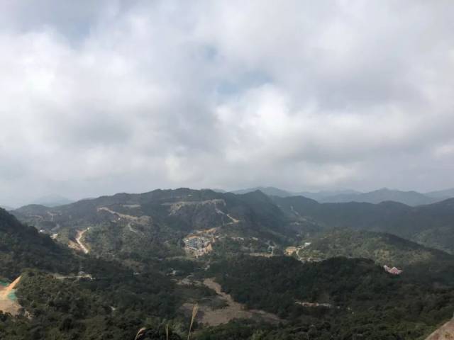 龙岩上杭梅花山的中国虎园