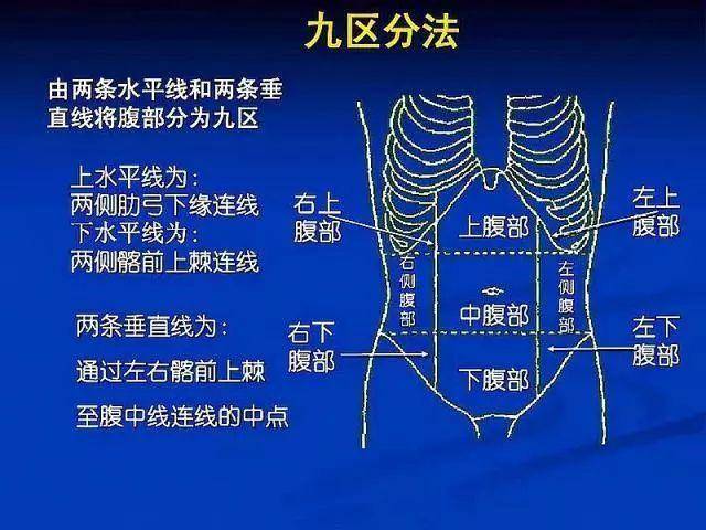 1,左上腹部这个位置多是胃的信号,胃在工作的时候是处于蠕动状态,这个
