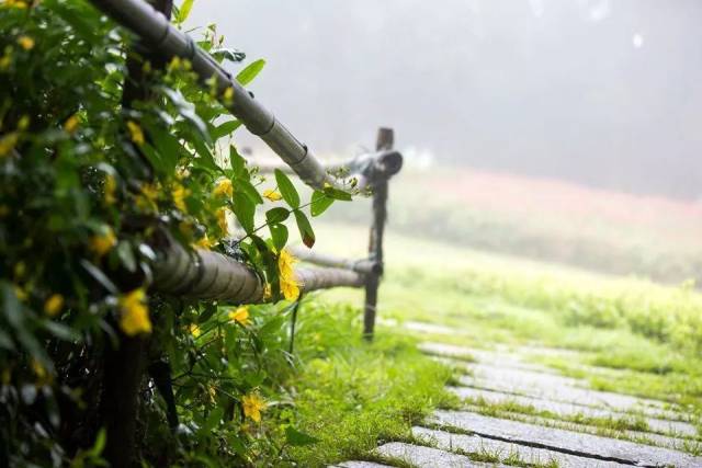 朗诵:风雨人生路,用心走好每一步