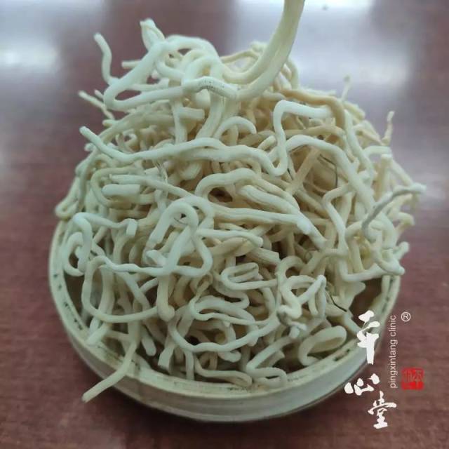 【每日一味药】灯心草_手机搜狐网