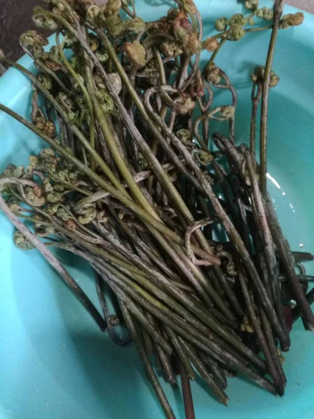 比方说,图片中有一种叫鸭脚板的野菜,对城里人而言几乎是一种奢望.