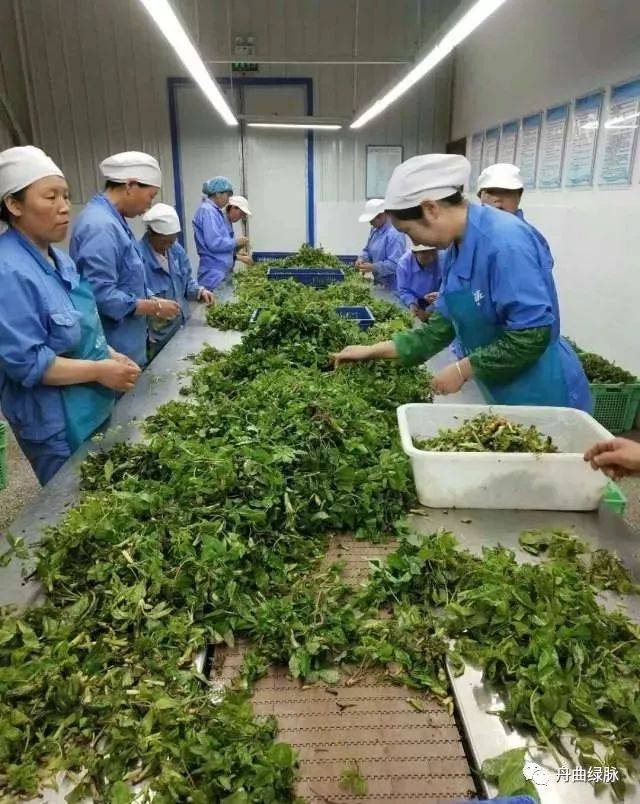 以保护性的价格收购农户采集的山野菜;再整合资源,通过深加工,精包装