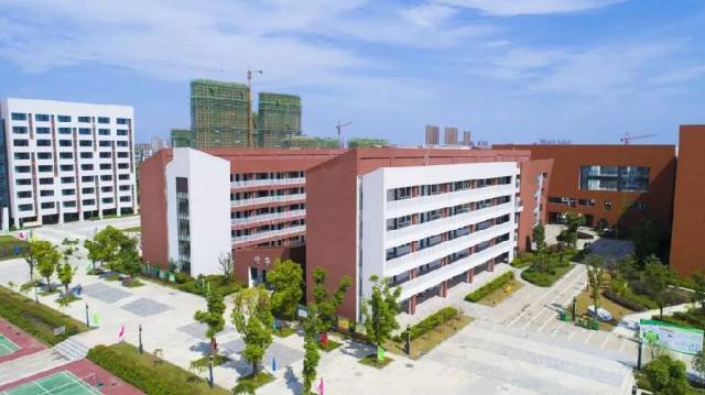 合肥排名前10的小学、初中、高中全在这了,以