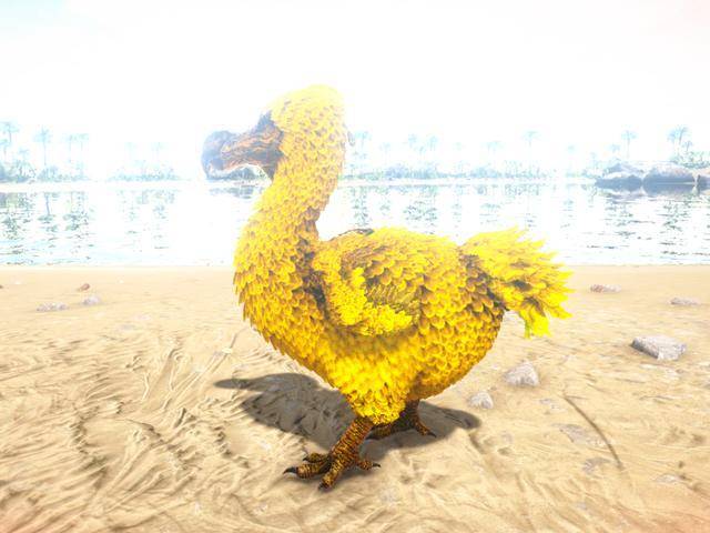 方舟凶残的黄金渡渡鸟你有过被渡渡鸟打死的经历吗