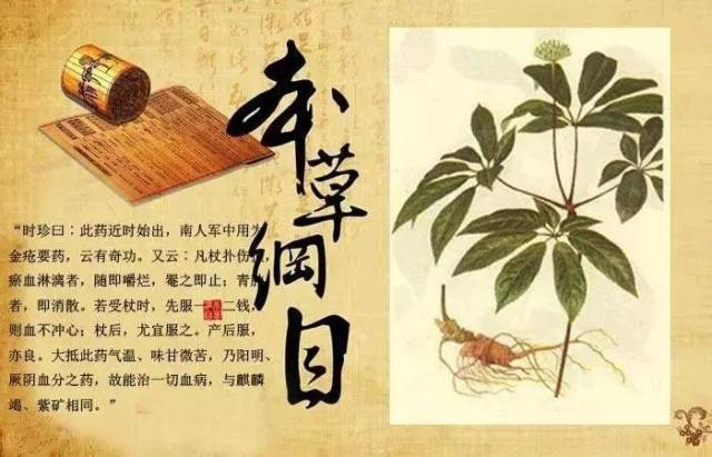 70多岁的老太太,常年吃三七,皮肤比30岁年轻人还好,这是真的吗?