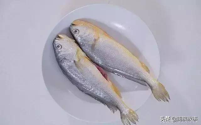 你經常吃的中小型海魚,你都知道名字嗎?