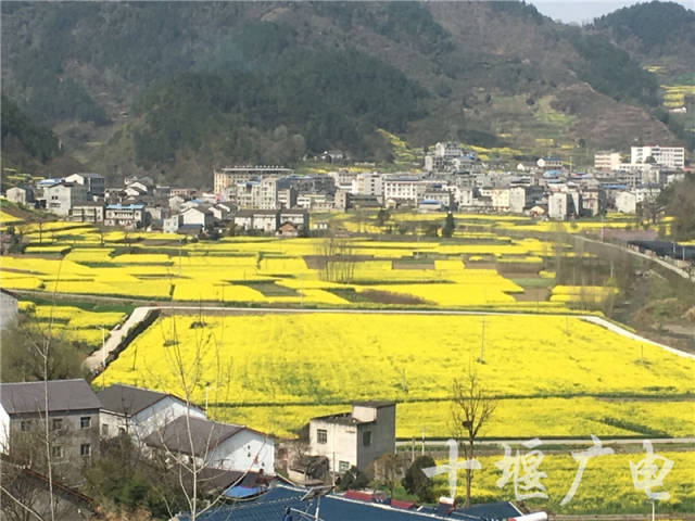 近些年来,郧阳区五峰乡始终坚持绿水青山就是金山银山的发展理念,在