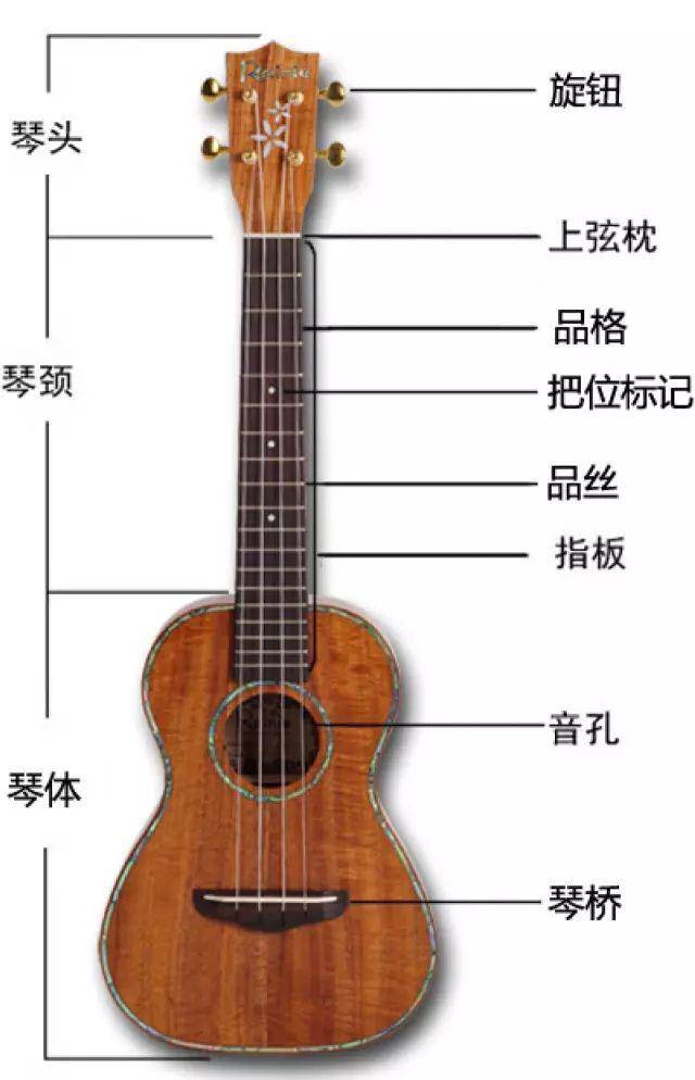 大连ukulele尤克里里演奏入门教程