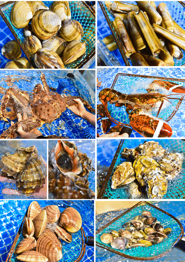 18元/打带子!实探佛山神秘"海鲜码头"!