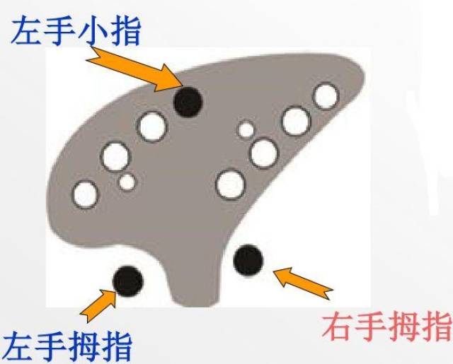 干货丨乐器达人手把手教你如何学陶笛