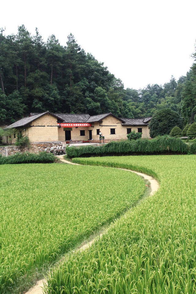 去湖南旅游必去的风景名胜有哪些?(韶山,长沙,张家界,凤凰古城)