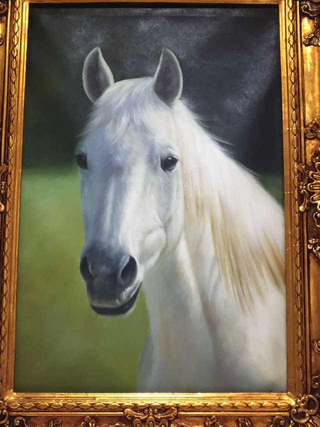 陈知君艺术馆画展在阳新龙泉村展出