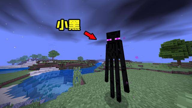 末影人小黑67在游戏中,苦力怕不仅能够造成高额的伤害,而且它同时