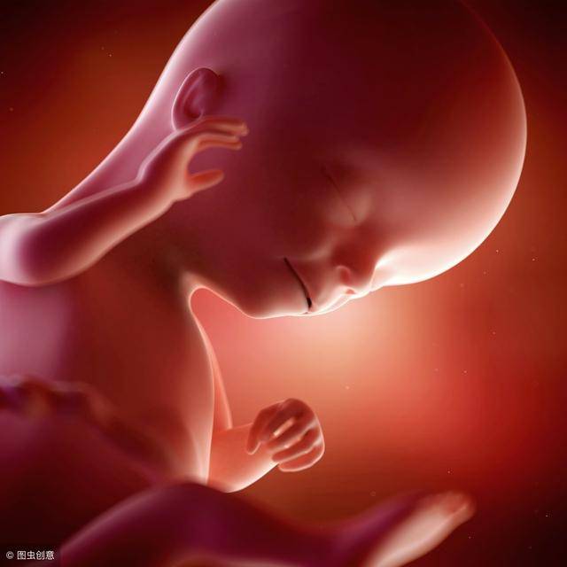 孕十八周胎儿发育图片图片