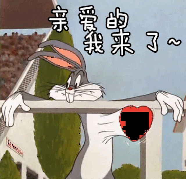 382_367gif 动态图 动图