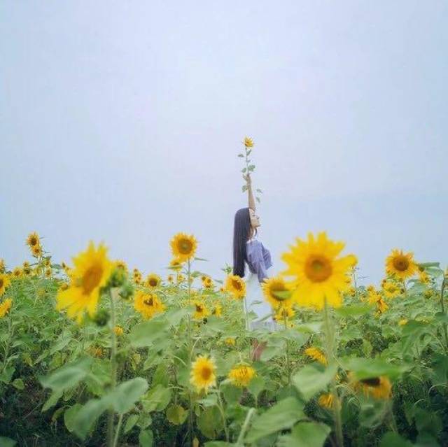 一个被出轨女人的自述:年薪是老公的5倍,可我