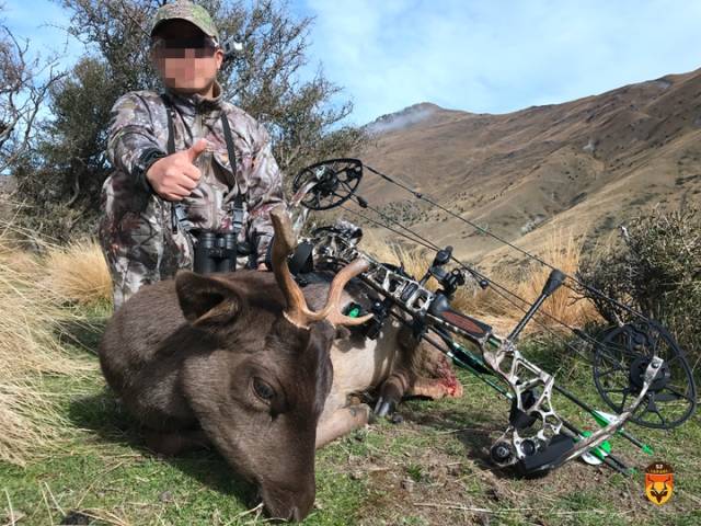 【狩猎游记】2018年4月新西兰弓猎团