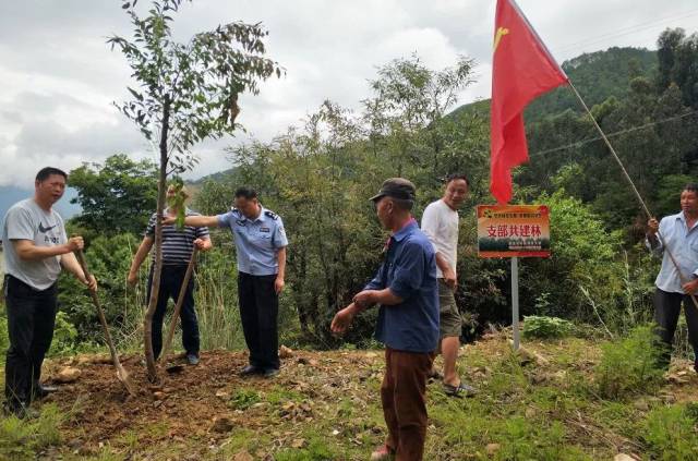 【笮山党建】鳡鱼彝族乡:服务群众,从公益做起.