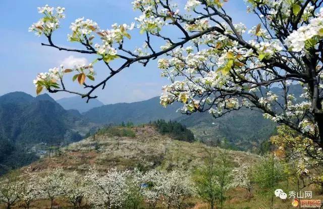 溶溪镇梨园村走起!