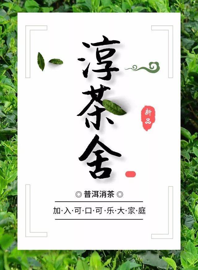 淳茶舍上线,带你畅享美食!