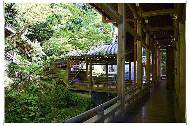 清雅文艺「夏-禅林寺」慢-享-秘境日本
