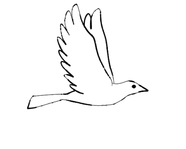 【媒体聚焦】辽宁日报刊发:柳河沿岸候鸟如约而至_手机搜狐网