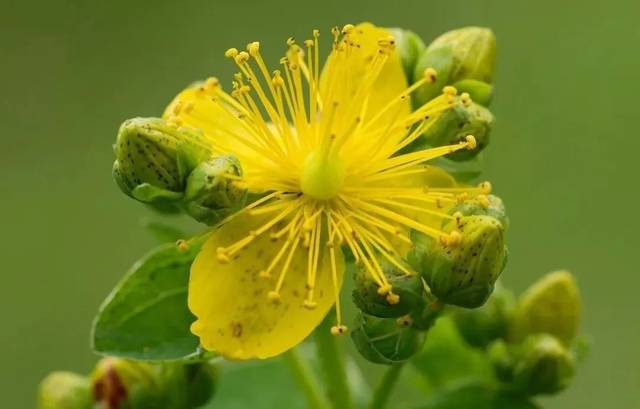 【4月5日】《往后余生》原唱歌手马良在太行