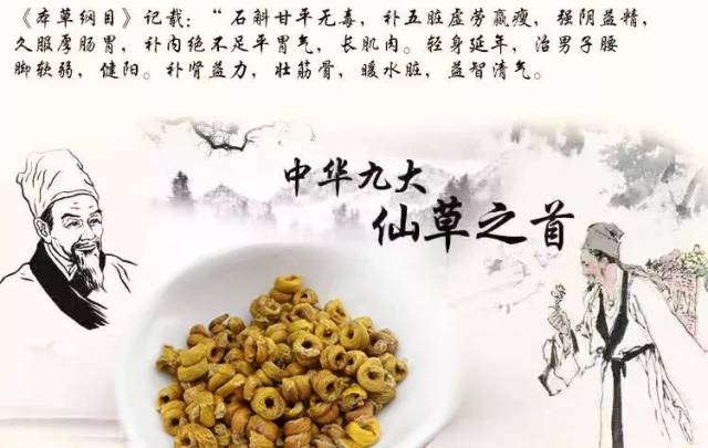 《本草纲目》记载铁皮石斛:滋养阴津,增强体质,补益脾胃,护肝利胆,强