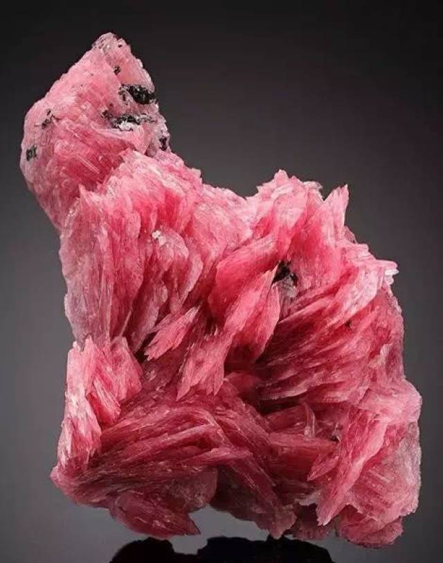 这些矿石你都认识么?